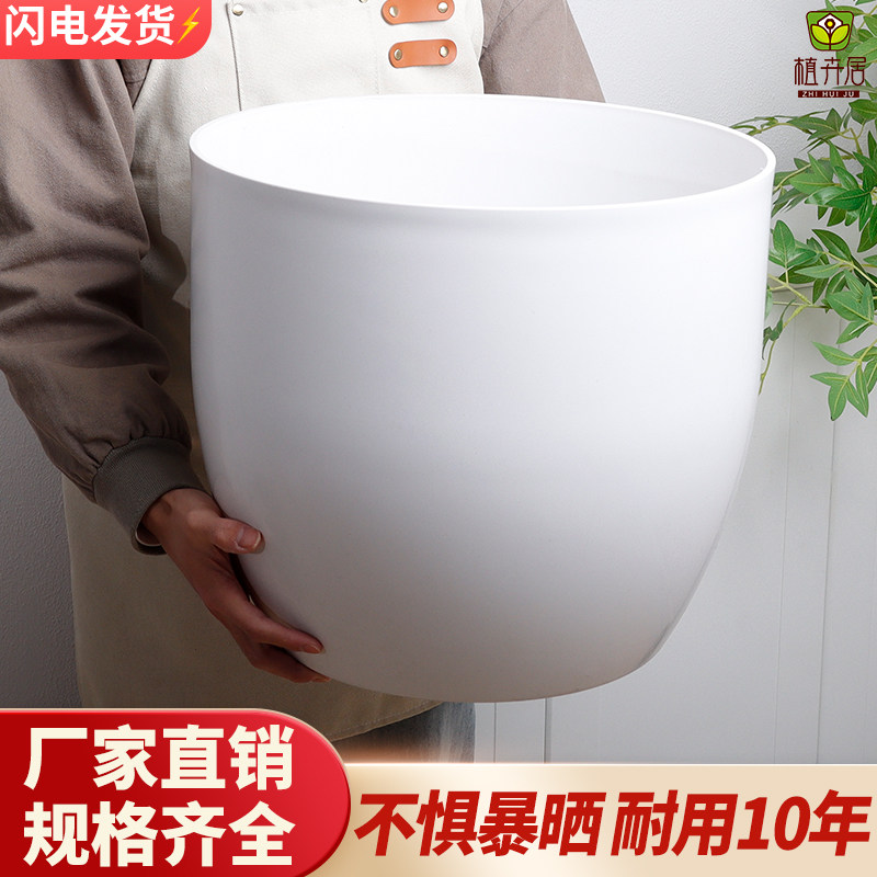 发财树柠檬树简约陶瓷花盆