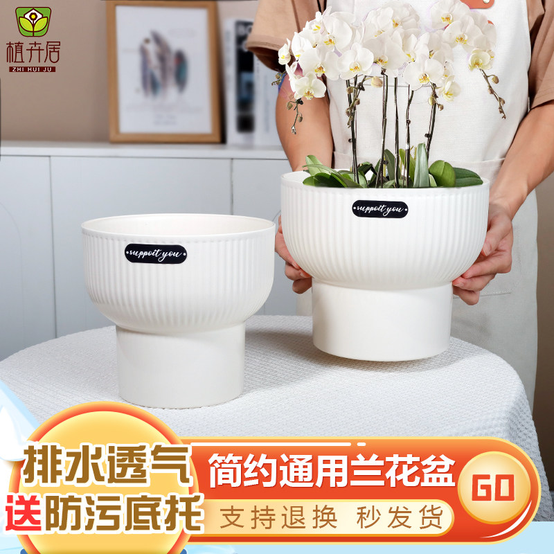 蝴蝶兰专用花盆塑料北欧风高脚简约艺术家用冬青绿植花卉兰花花盆,鲜花速递/花卉仿真/绿植园艺,花盆,淘宝优惠券,粉丝福利购,淘宝优惠卷