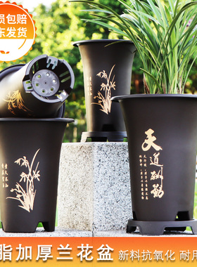 兰花专用盆花盆特价清仓君子兰仿紫砂花盆塑料高档耐用大号兰花盆