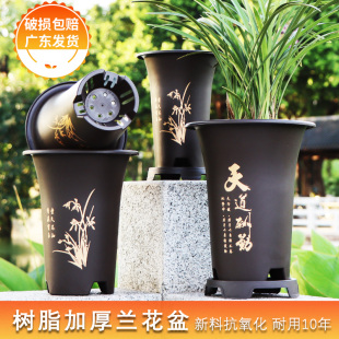 兰花专用盆花盆特价 清仓君子兰仿紫砂花盆塑料高档耐用大号兰花盆