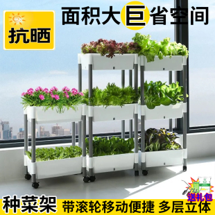 植卉居家庭阳台种菜神器懒人自吸水种菜盆阳台多层加厚蔬菜种植盆