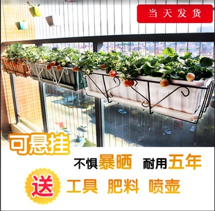 阳台种菜盆种菜神器家庭阳台蔬菜长方形塑料栏杆花盆槽盆栽种植盆