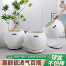 植卉居简约轻奢圆球形树脂花盆奶油风大号高颜值橡皮树南天竹花盆