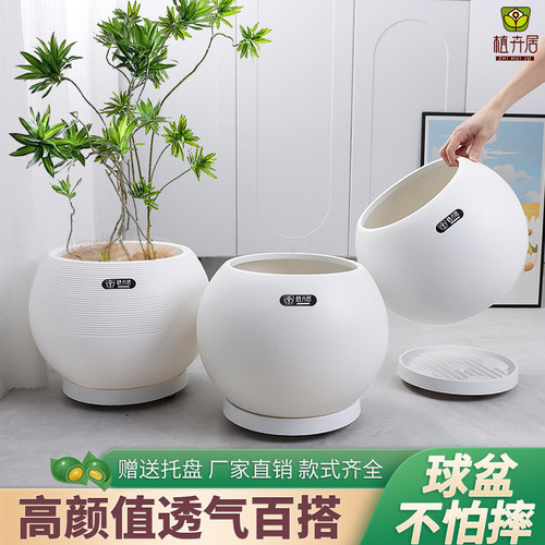简约轻奢圆球形树脂花盆
