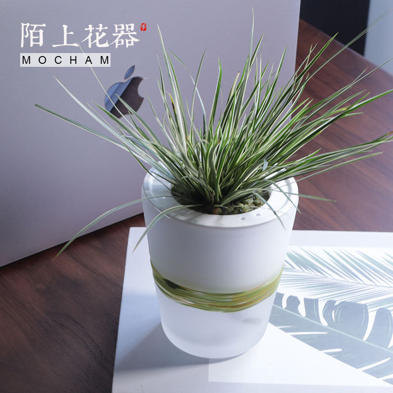 陌上花器 日式小花盆懒人植物自动吸水水培植物 玻璃瓶子简约绿萝