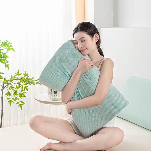 GIVERNYHOME抗菌硅胶枕芯
