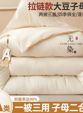 GIVERNY HOME大豆纤维被子被芯子母被二合一冬被春秋被棉被褥四季