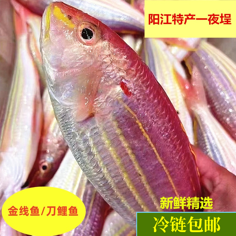 阳江特产一夜埕咸鱼一流咸新鲜深海金线鱼刀鲤鱼淡口生鲜腌制红衫,水产肉类/新鲜蔬果/熟食,鱼干,淘宝优惠券,粉丝福利购,淘宝优惠卷