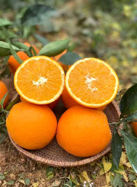 正宗江西赣南脐橙10斤精品大果赣州橙子新鲜水果赣州橙子安远产地