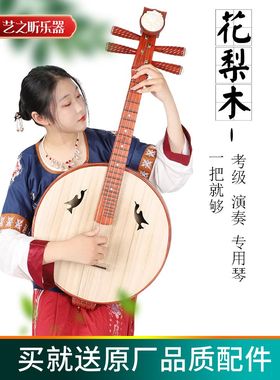 中阮乐器厂家直销专业花梨木中阮大阮小阮考级入门鸡翅木高音小阮
