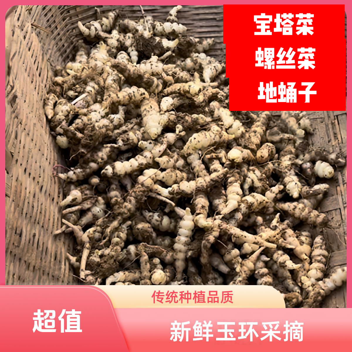 湖北现挖新鲜螺丝菜玉环农家自种车萝卜宝塔菜地蛹土冬虫草泡菜首