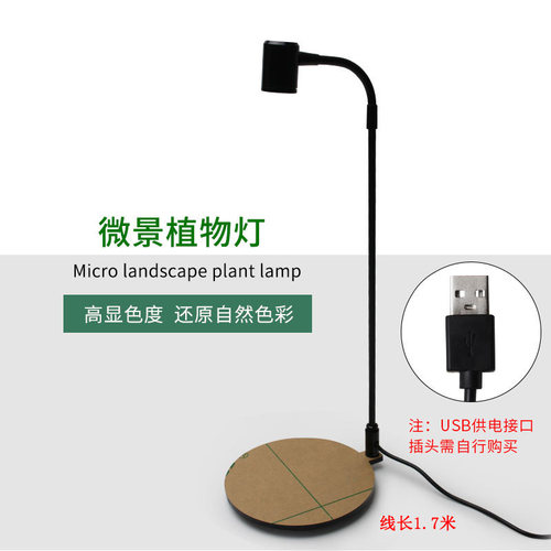 LED微景观灯白光亚克力生态瓶灯