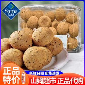 山姆超市原味麻薯面包24个正品代购网红零食营养学生办公早餐糕点