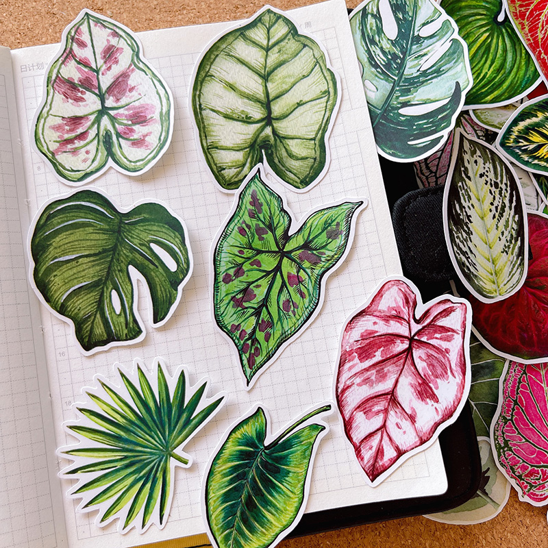 可爱植物叶子手帐贴纸素材小清新手账贴画儿童相册成长记录装饰