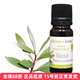 30ml aroma zone有机绿花白千层精油10 法国az