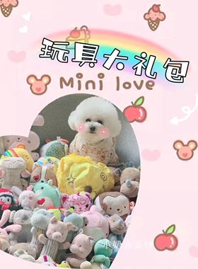 福袋！宠物外贸玩具大礼包小型犬狗狗猫咪毛绒发声bb叫安抚玩具