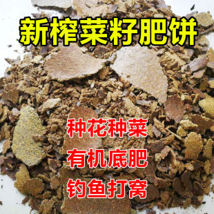 菜籽饼肥料农家现榨菜枯油菜饼钓鱼打窝油枯菜籽有机肥营养土肥料