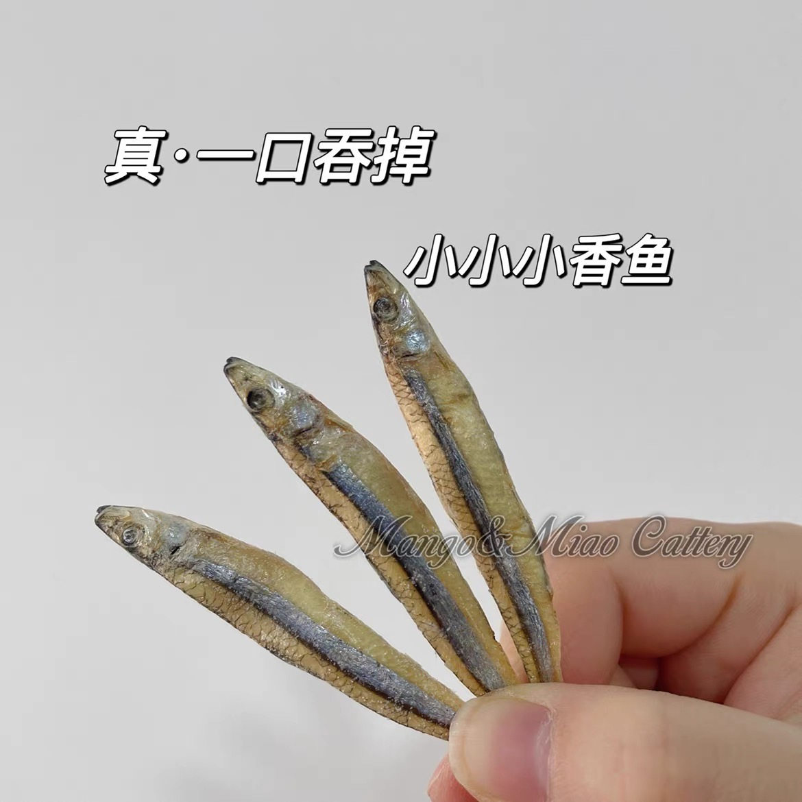 芒果 多春鱼小鱼干三文鱼鳕鱼鲅鱼帝王鲑狗通用零食冻干3件包邮