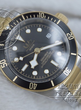 包邮 威之星 碧湾腕表M79733N-0008自动机械间金全钢男手表TR-01