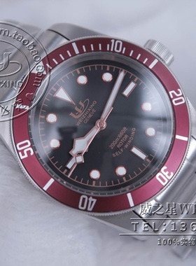 包邮 威之星 碧湾腕表79220R小红花自动机械表全钢男手表TR-14