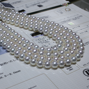 海水珍珠akoya天女项链正圆基本无暇极强镜面光泽日本真科研大证