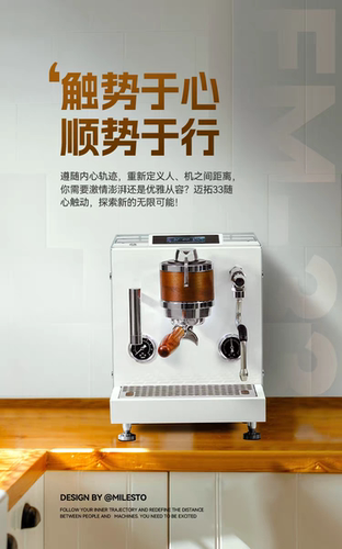 迈拓EM33双锅炉加热半自动家用意式咖啡机专业商用级