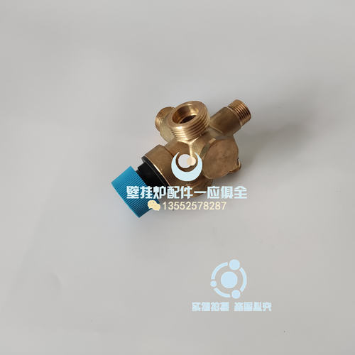 宙斯安全阀组件泄压阀IMMERGAS