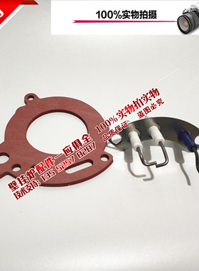 德国博世欧洲经典冷凝锅燃气壁挂炉 CONDENS 3000W 点火针 感应针