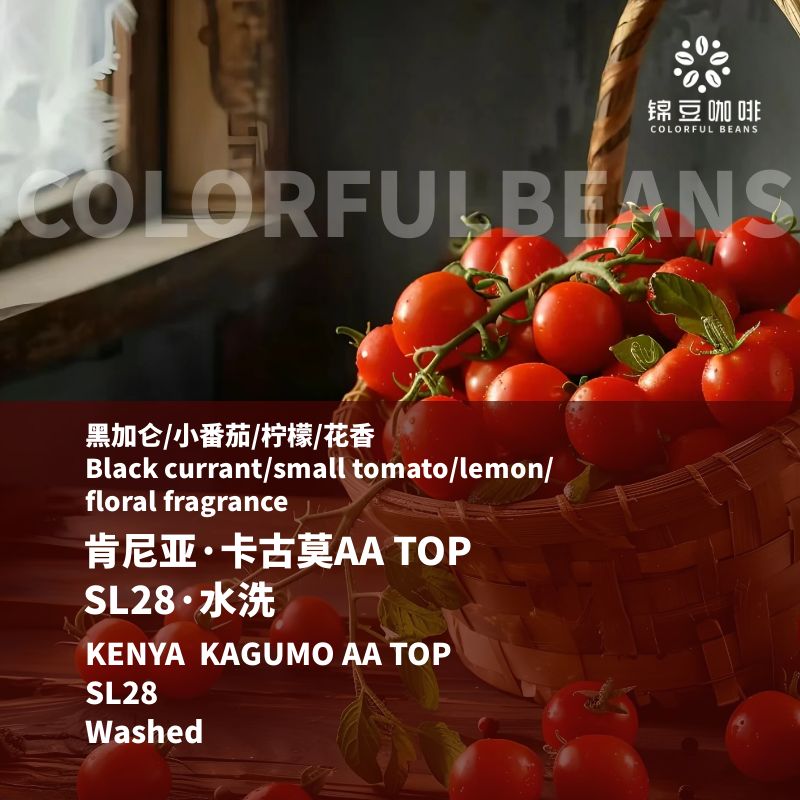 肯尼亚卡古莫AATOP水洗咖啡豆