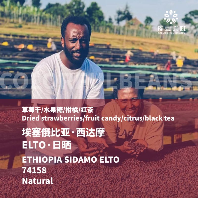 埃塞俄比亚西达摩埃托ELTO咖啡豆