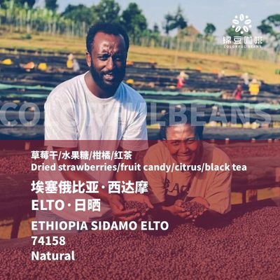 埃塞俄比亚西达摩埃托ELTO咖啡豆