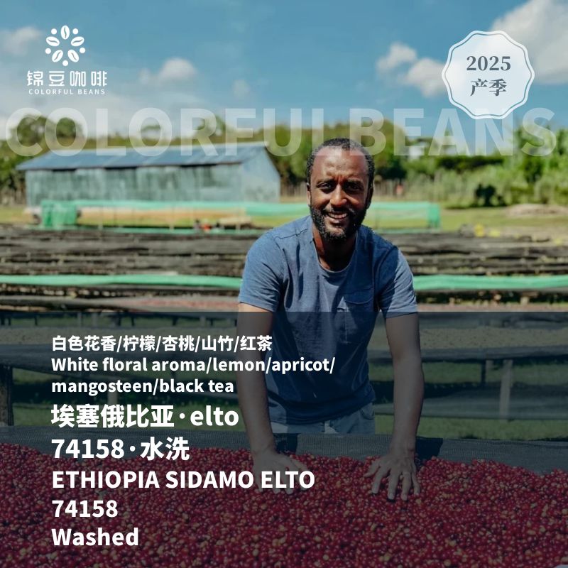 埃塞俄比亚elto水洗咖啡豆