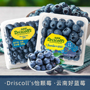 s怡颗莓蓝莓 新鲜当季 酸甜口感 多规格选择 云南Driscoll 125g 盒