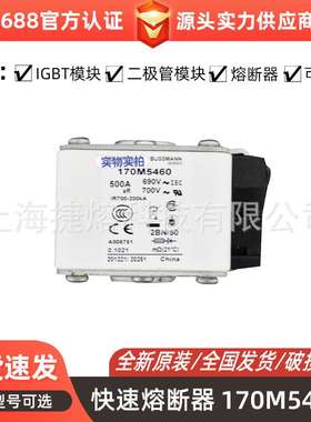 170M5460 170M5462   快速熔断器  保险丝 电子元器件 量大价优