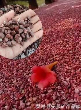 胭脂红石子厂家 透水地坪3-6mm水磨石红色石子水洗石胶粘石