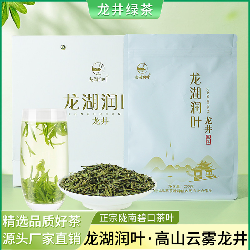 2026新茶甘肃陇南明前高山云雾龙井茶叶文县碧口高山绿茶