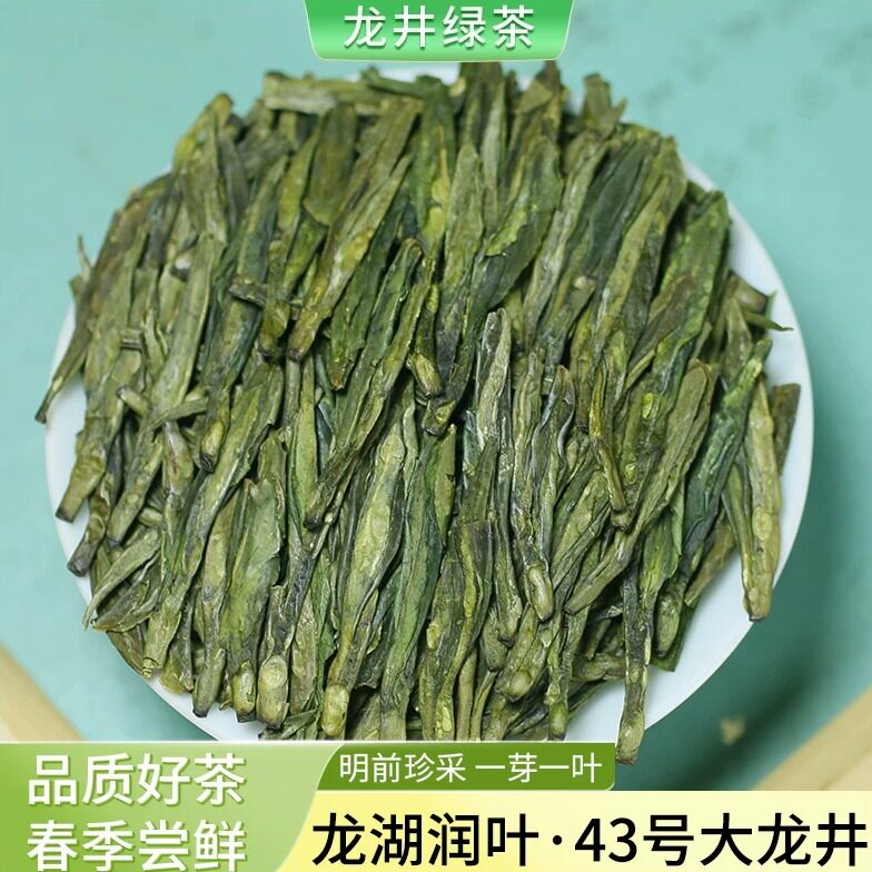 2026新茶甘肃陇南明前大叶43号龙井茶叶文县碧口高山绿茶