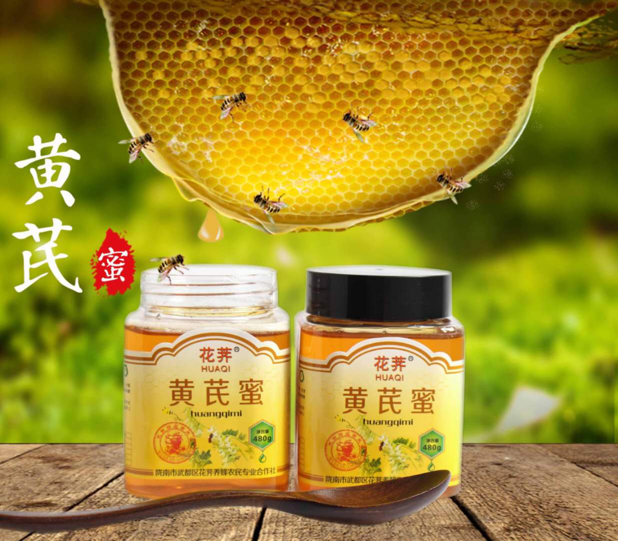 甘肃陇南特产黄芪蜜 农家自产武都花荠黄芪蜜野生土蜂蜜480g/瓶