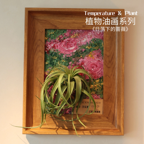《日落下的蔷薇》室温原创油画空气凤梨艺术生日礼物装饰懒人植物