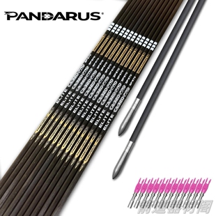 PANDARUS潘神CA320PRO碳铝箭千1复合专用3.2mm锥形碳铝竞技射准箭