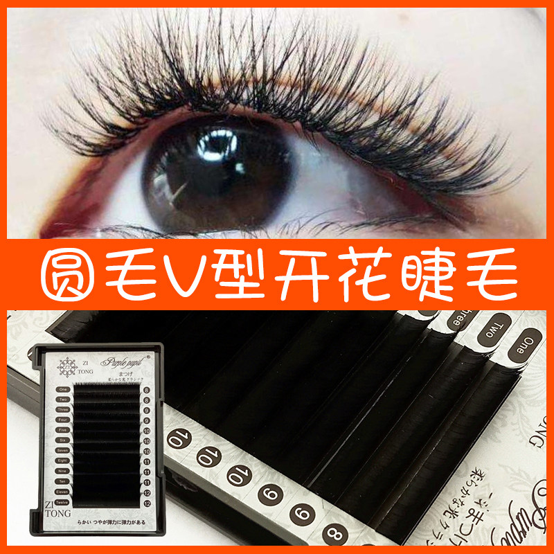 v型磁性加密柔软混合装眼睫毛