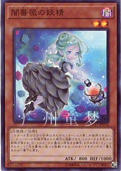 广州童梦正版日文英文游戏王DP21散卡暗蔷薇之妖精SR