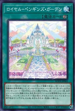 游戏王1106散卡王家企鹅花园