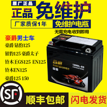 适用于豪爵125摩托车电瓶12v 通用干电池钻豹摩托车125-7银豹电瓶