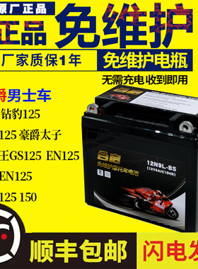 适用于豪爵125摩托车电瓶12v 通用干电池钻豹摩托车125-7银豹电瓶