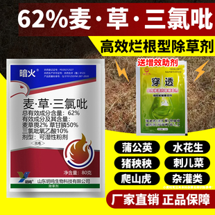 62%麦草畏草甘膦三氯吡氧乙酸杂草藤屠灌木水花生开荒烂根除草剂
