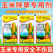 谷无草烟嘧磺隆全杂草 玉米苗后除草剂安苞全型3连袋杀草封地一季