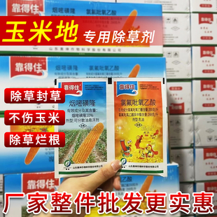 靠得住玉米地除草专用剂包谷田除草封草不伤玉米苗后专用死草烂根