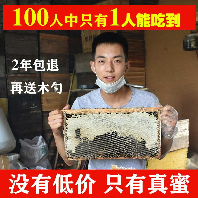 纯蜂蜜100%野生正宗枣花蜜农家自产纯正野酸枣蜂蜜pk洋槐蜜500g
