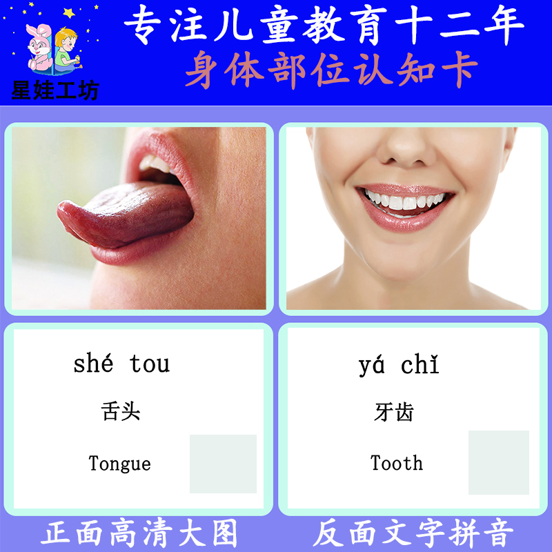 身体部物儿童早教卡片